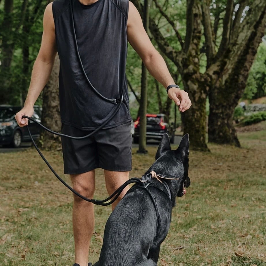 予約【boo'oh】Hands-Free Ray Harness | Black Editon | ropet