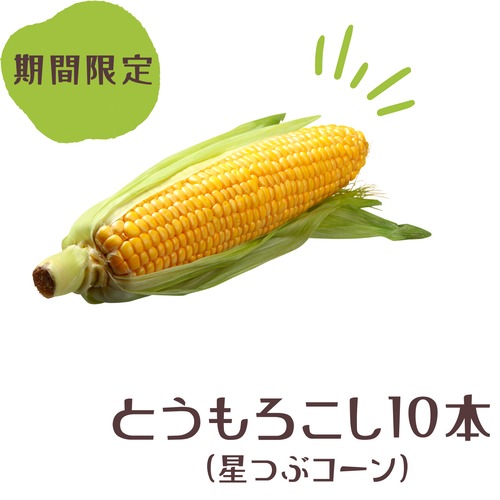 農家支援！　山梨県忍野村産　星つぶコーン　10本入80サイズ