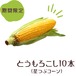 農家支援！　山梨県忍野村産　星つぶコーン　10本入80サイズ