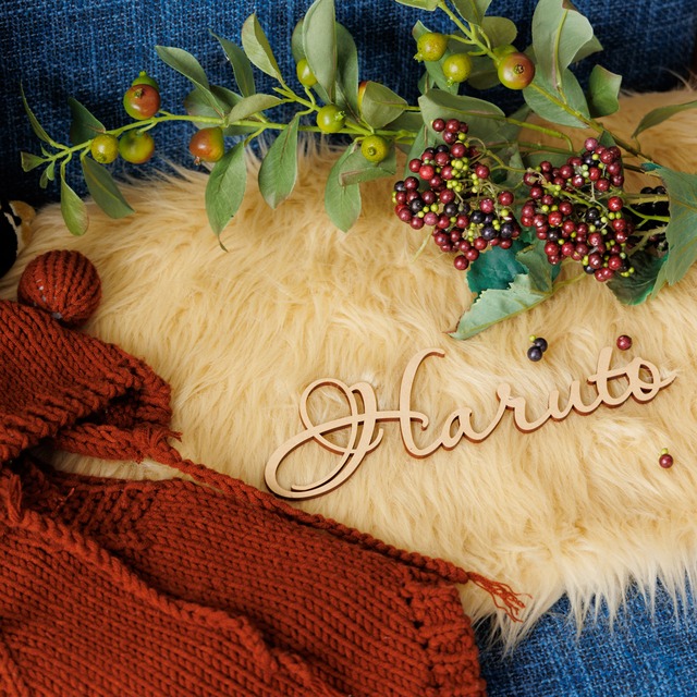 木製: 名入れレターバナー／文字タイプ《跳躍》