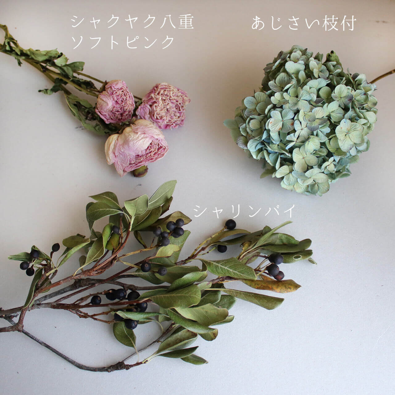 あじさい枝付き ブルー・グリーン系 ドライフラワー 【 Sサイズ