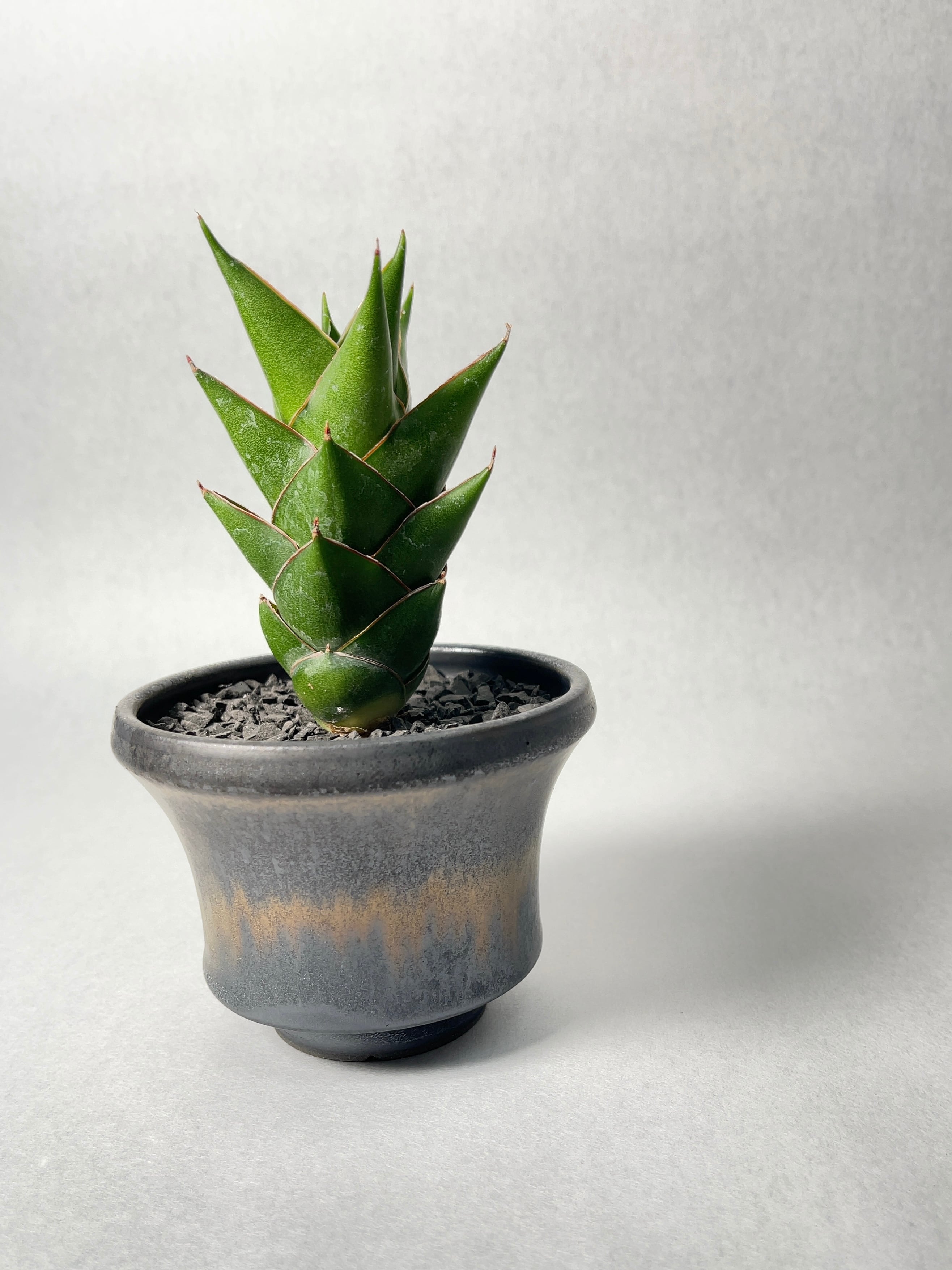 4579c902adb38dce9c87b9e7bbc5be