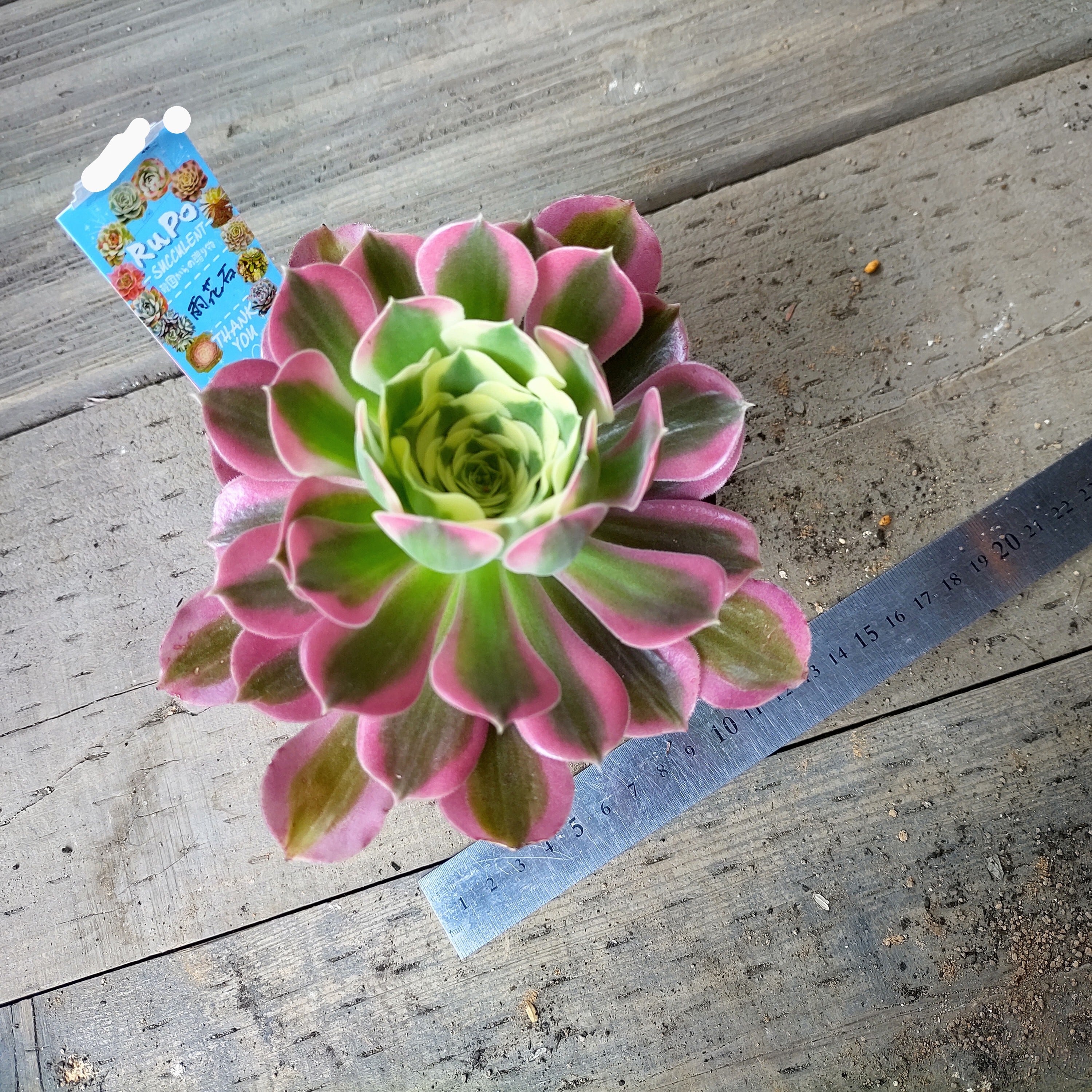 45842fa512b6cae8fa44e0b3deb83f