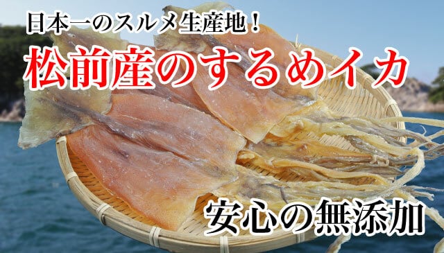 するめいか スルメ 230g 特特大サイズ 北海道松前産 110gから120g 2枚