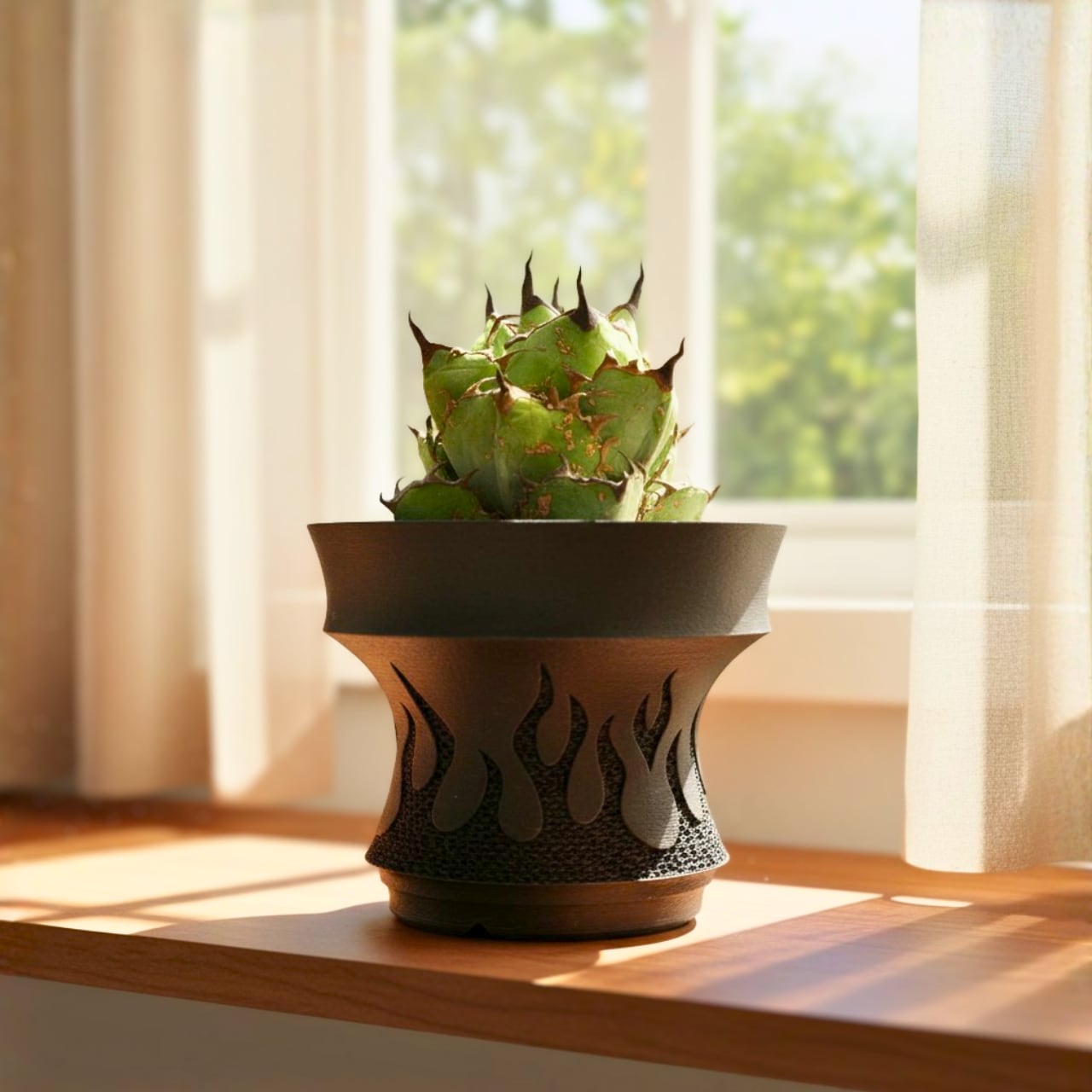 D528 Mサイズ 植木鉢 陶器 検（塊根植物 アガベ パキプス invisible