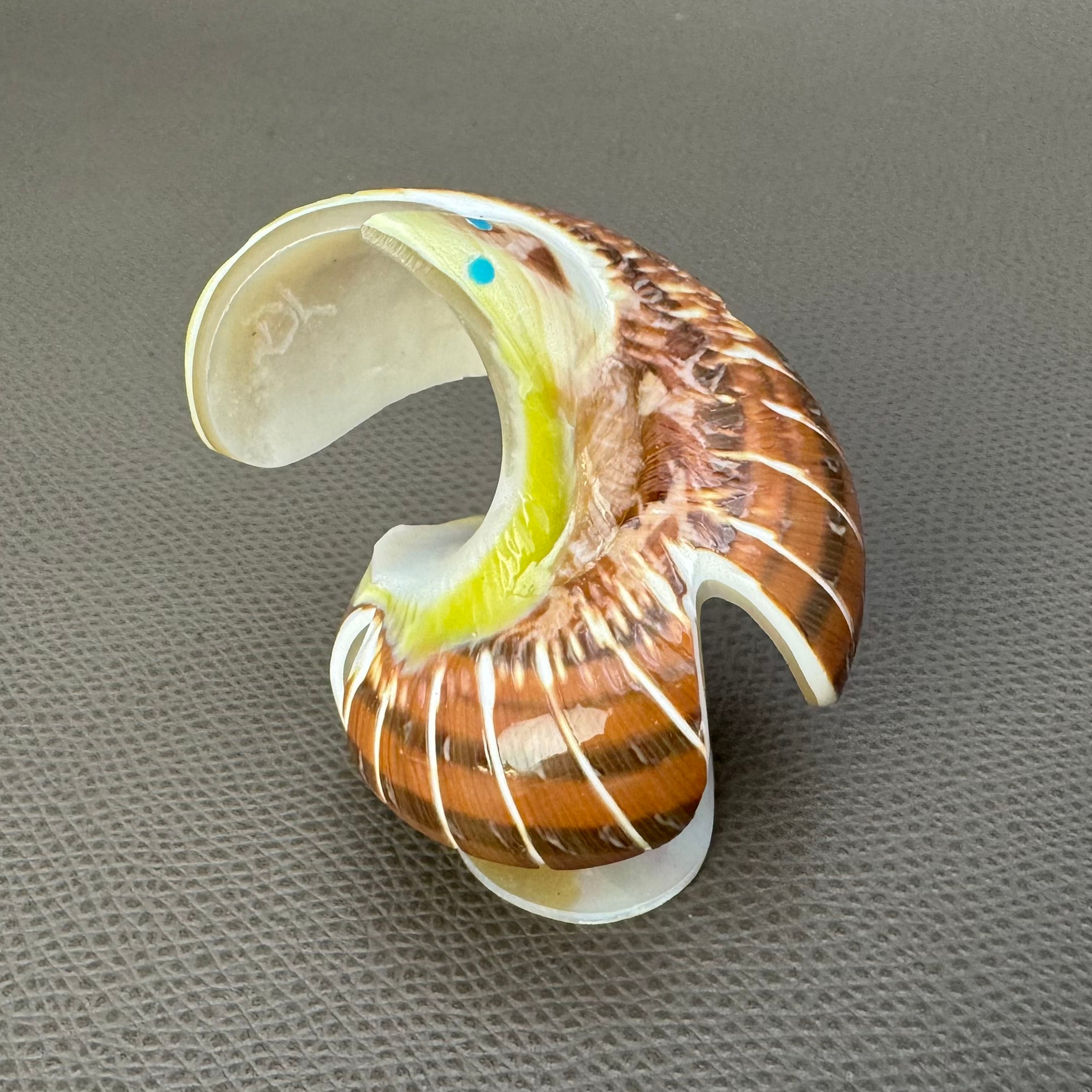 ZUNI族 Delvin Leekyaメイド フェティッシュ カエル ホピ ナバホ ズニ