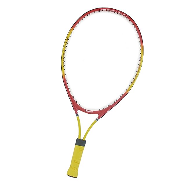 人気商品】DUNLOP(ダンロップ)硬式テニスボールFORT(フォート