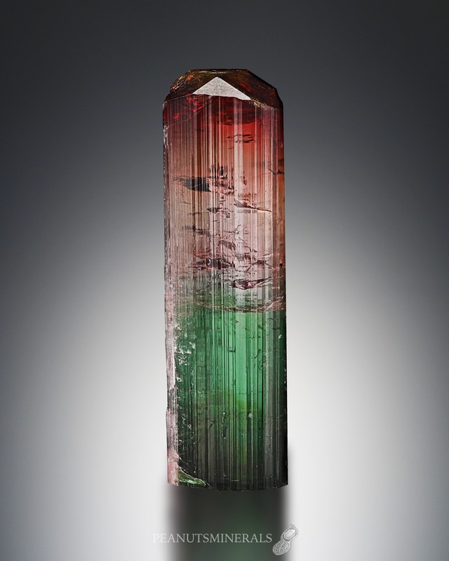 トルマリン / クォーツ【Tourmaline in Quartz】ブラジル産