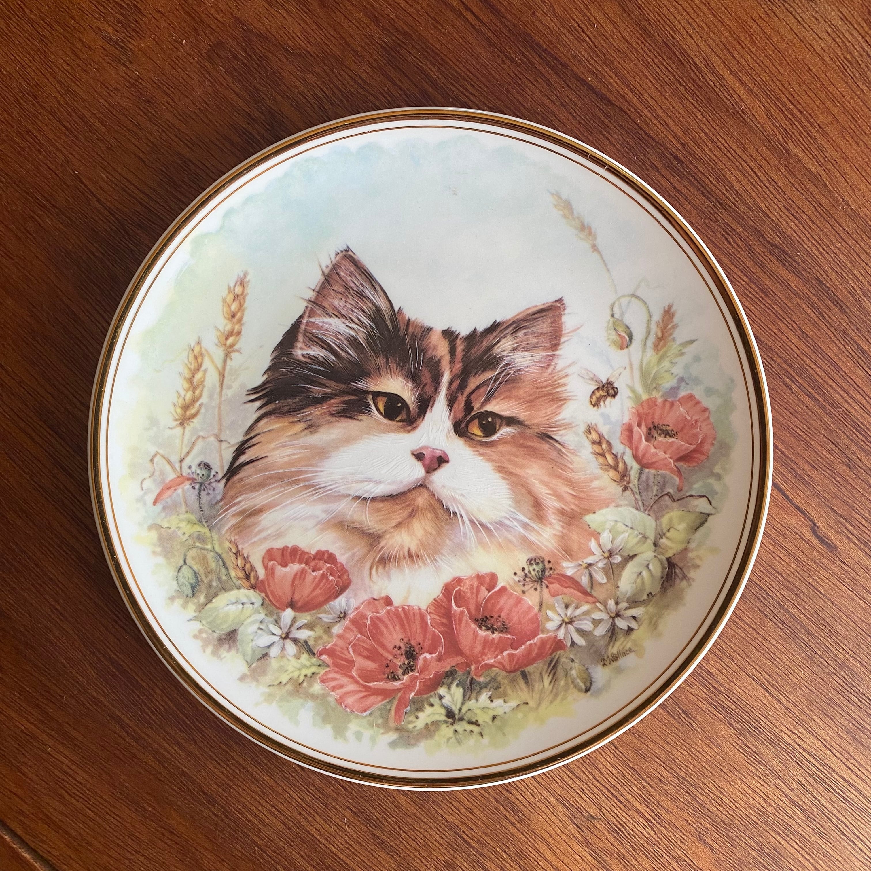 ⭐️猫ちゃん⭐️アンティーク飾り絵皿⭐️9皿⭐️ ⭐️猫ちゃん⭐️アンティーク飾り絵皿⭐️9皿⭐️