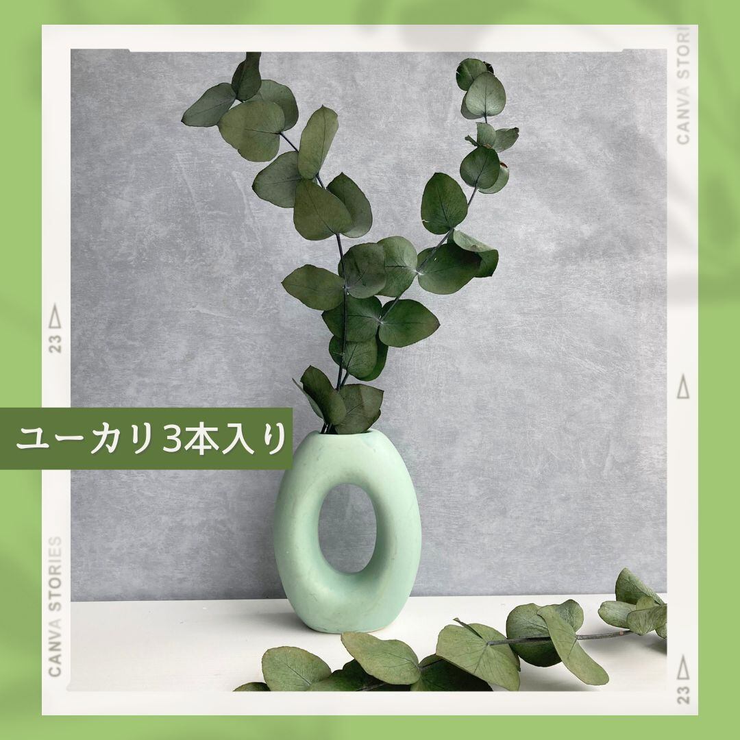 ユーカリ3本入り | ＋FLOWER・プラスフラワー・プリザーブドフラワーの