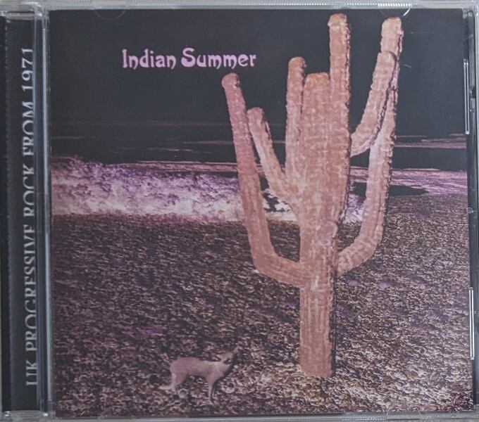 Aunt Sally アーント・サリー (=Phew) - Aunt Sally 限定リマスター