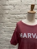 70年代 champion "HARVARD" カレッジプリントTシャツ USA製 【チャンピオン バータグ ハーバード大学】