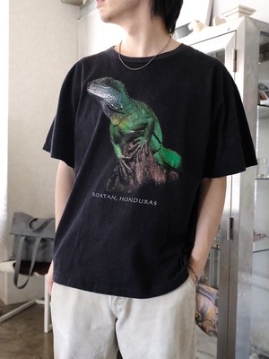 Used Iguana Tee