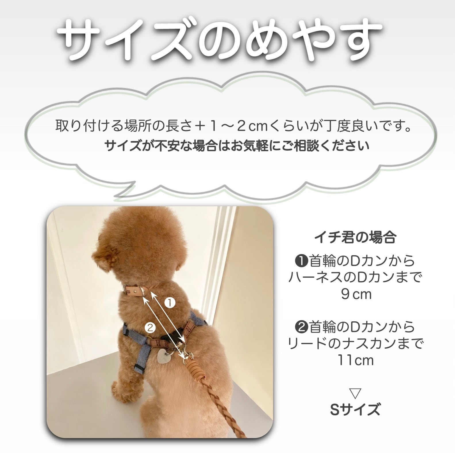 お守りジョイント / すっぽ抜け防止 / 迷子札 / 首輪とハーネスを繋ぐ