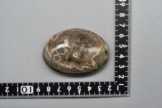 オーシャンジャスパー Ocean Jasper ③