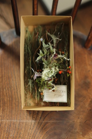 【Exhibition 道草】　草木帖B　＜BOXアレンジ＞