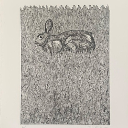 銅版画シート 草原のうさぎ