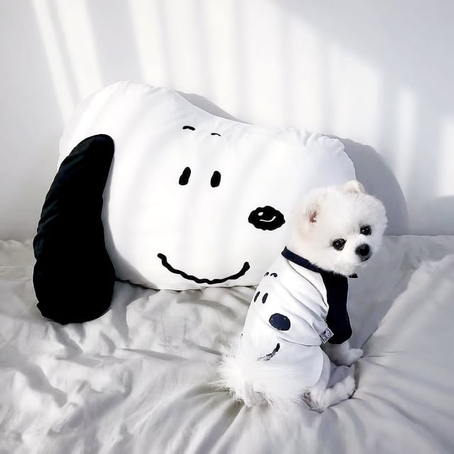 BTS IN THE SOOP SOOPY ビッグ クッション ぬいぐるみ 大 楽天市場