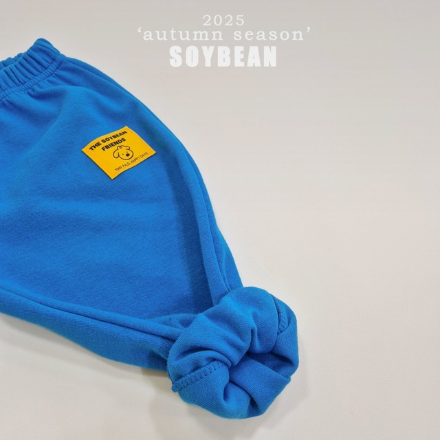 飛行機セット ※ジュニアsize 【soybean】