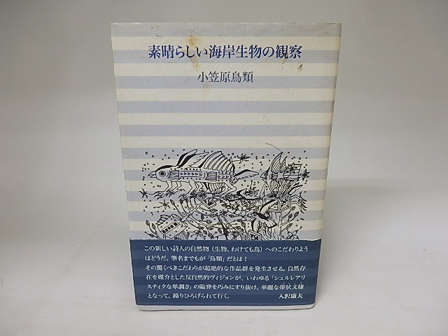 素晴らしい海岸生物の観察　/　小笠原鳥類　　[20170]