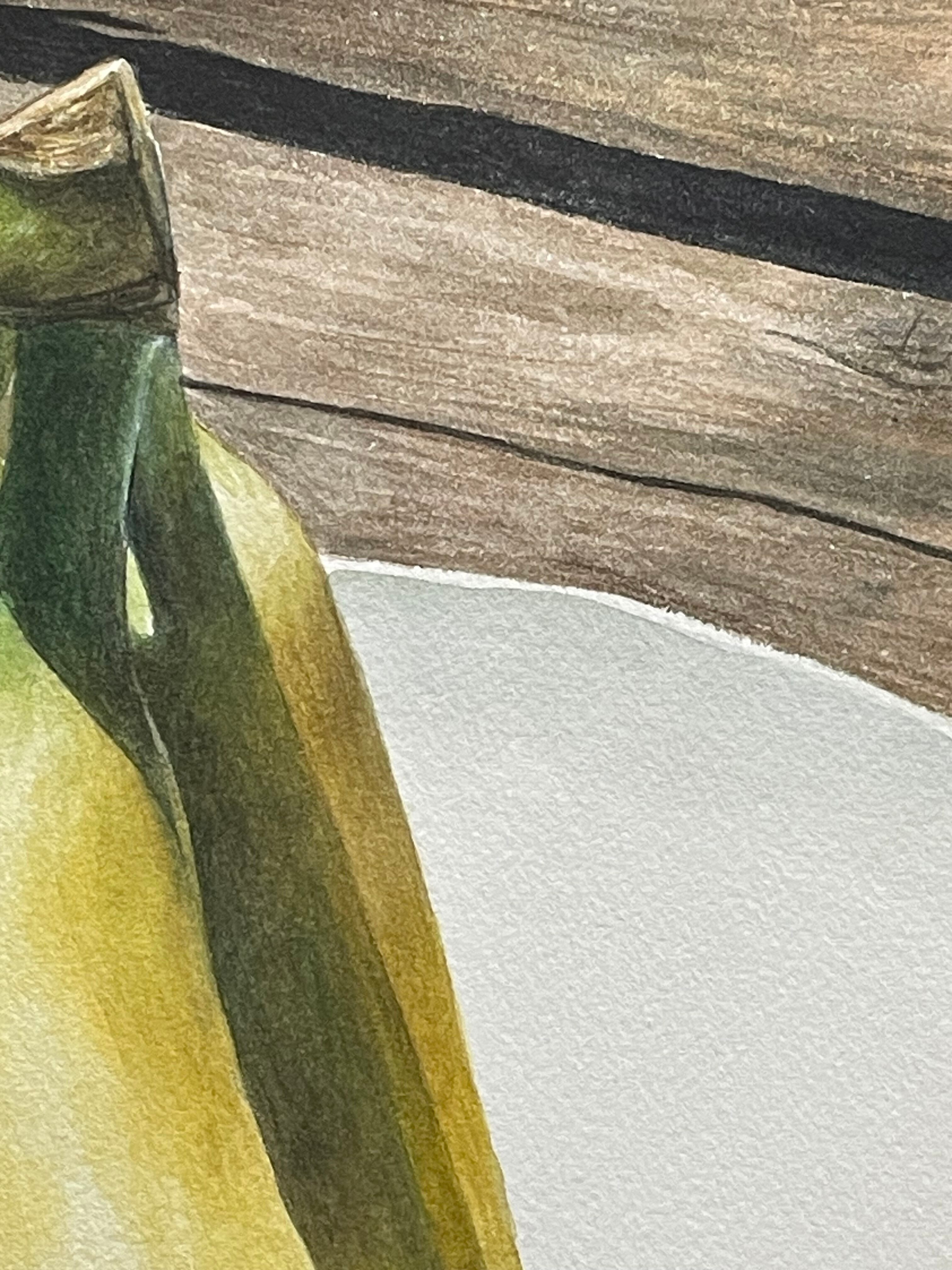 F4透明水彩画「バナナ」 | 絵楽人（辻匠）