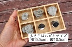 かわいい軽石コレクションBOX◆6種類◆福徳岡ノ場・2021噴火による　～軽石図鑑作者鑑定～