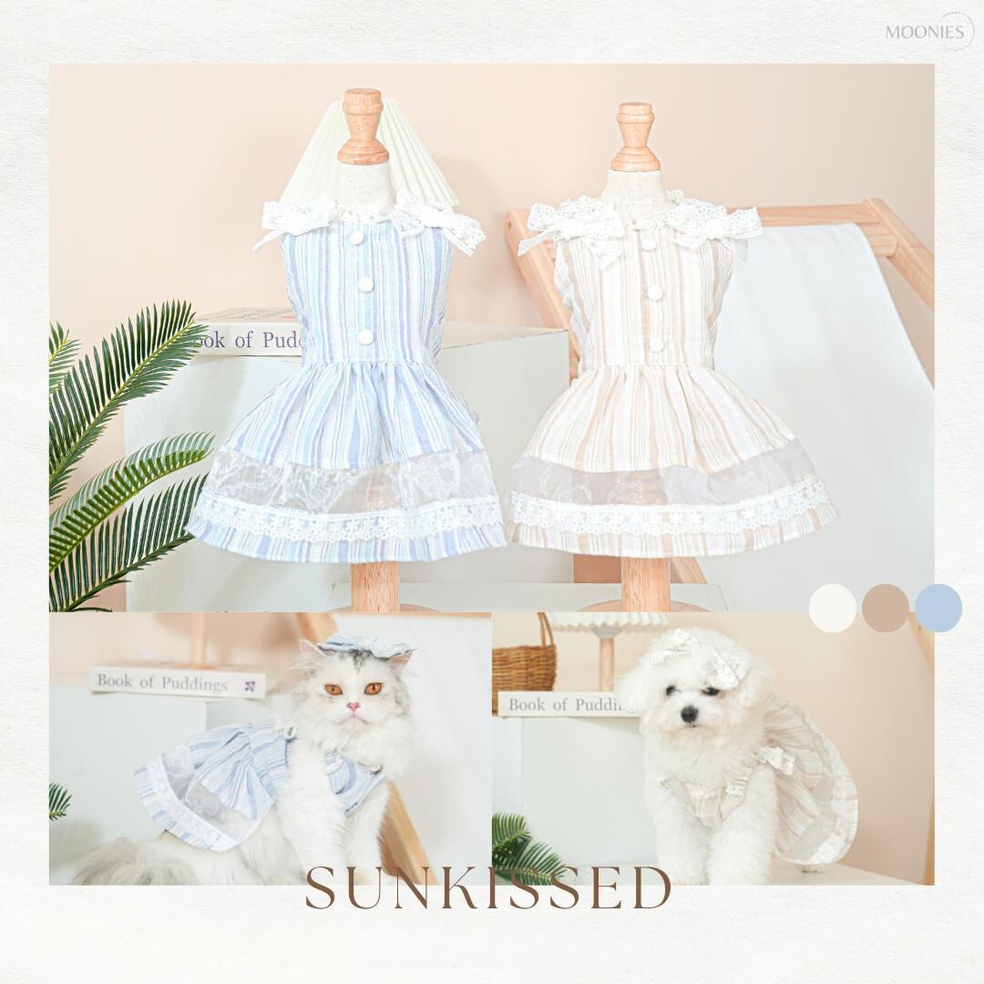 Sunkissed – Pet Dress〈size:XS-M＋〉
