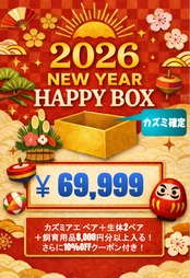 【カズミ確定】2026 New Year HAPPY BOX（お得箱） 69,999