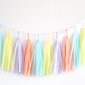 タッセルガーランドsherbet