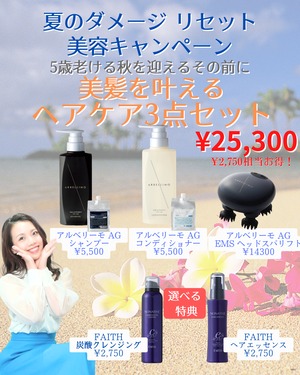 アルベリーモ　ヘアケアセット