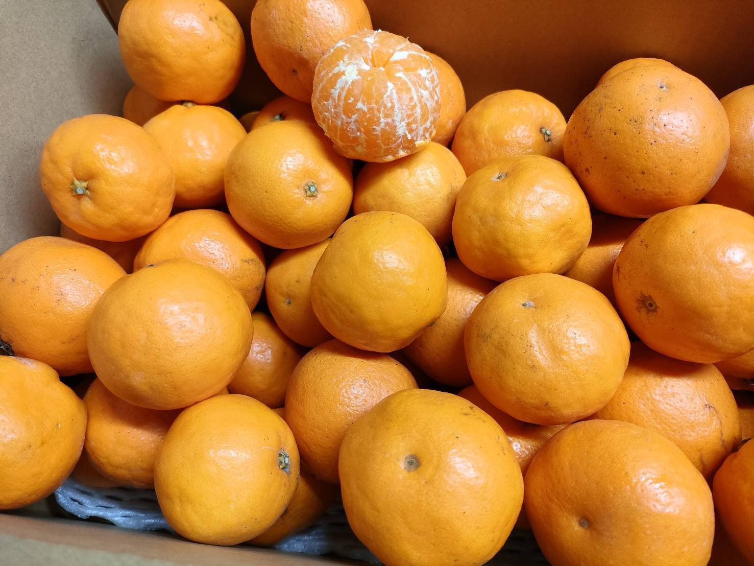 【小玉】はるみ 2kg箱(税込・送料込)