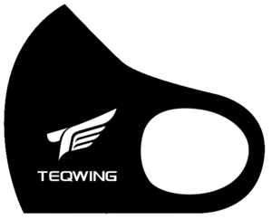 TEQWING e-Sports オリジナルマスク