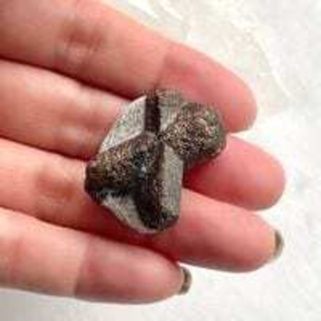 【レア・美石】スタウロライト（十字石）　ポーチ付き　6530