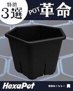 HexaPot 〝ヘキサポット〟5号サイズ 10ポットセット | Pay ID