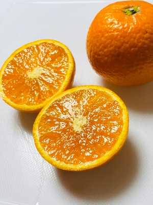 清見オレンジ 小玉 5kg
