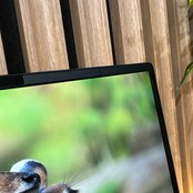 \ 公式ショップ限定価格❣️/ 《超軽量》富士通 LIFEBOOK U9311/F 第11世代 メモリ8GB SSD256GB フルHD ノートパソコン 安心サポート＆3ヶ月保証付き