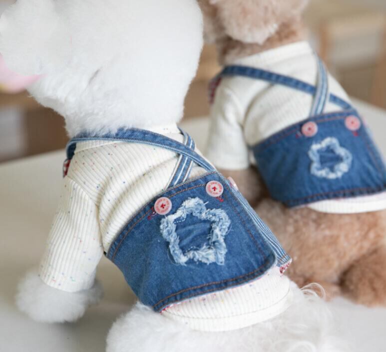 《予約》№210755 スターデニム