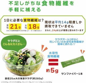 サンファイバー スティック 6g 30本*10箱