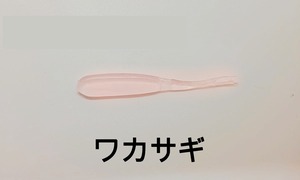 シーズシャッド　ワカサギ