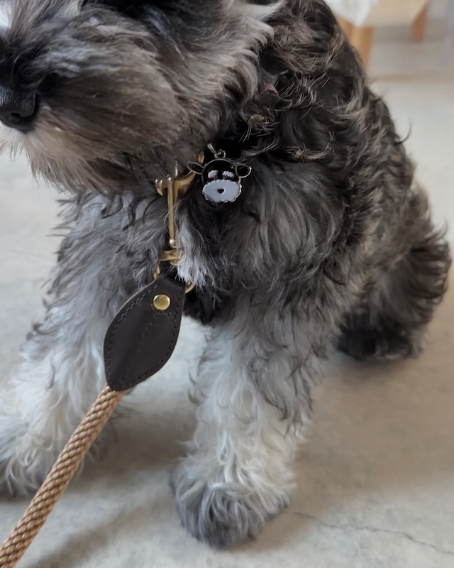 neko Leather & Nylon Lead