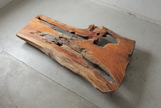 欅　Zelkova