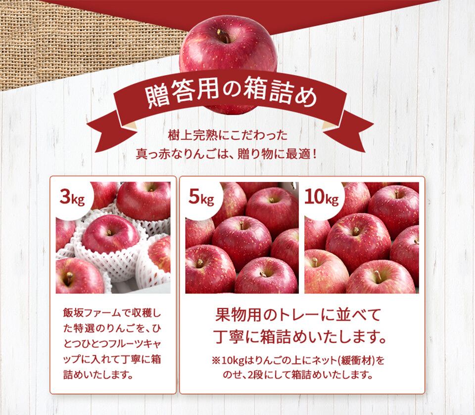 【贈答用】りんご サンふじ 5kg