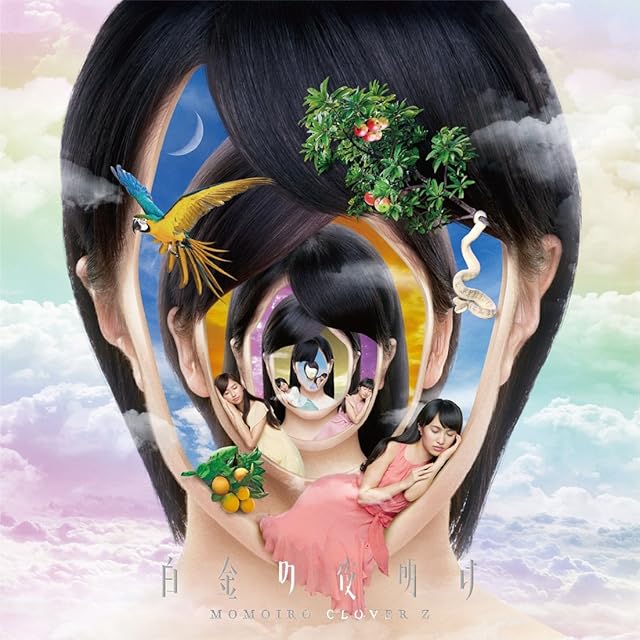 星野源 /SUN 7インチレコード | Pay ID 星野源 /SUN 7インチレコード | Pay ID