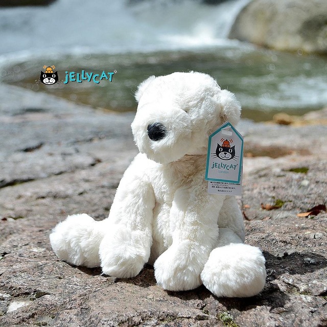 真っ白なシロクマはイギリス生まれのフワフワ ドール Jellycat Perry Polar Bear ジェリーキャット 白くま ふわふわ ぬいぐるみ ギフト 癒し ポーラ ベア シロクマ プレゼント お祝い 出産祝い 誕生日 最高級 縫いぐるみ 日本 正規代理店 輸入品 正規品 人気 かわいい