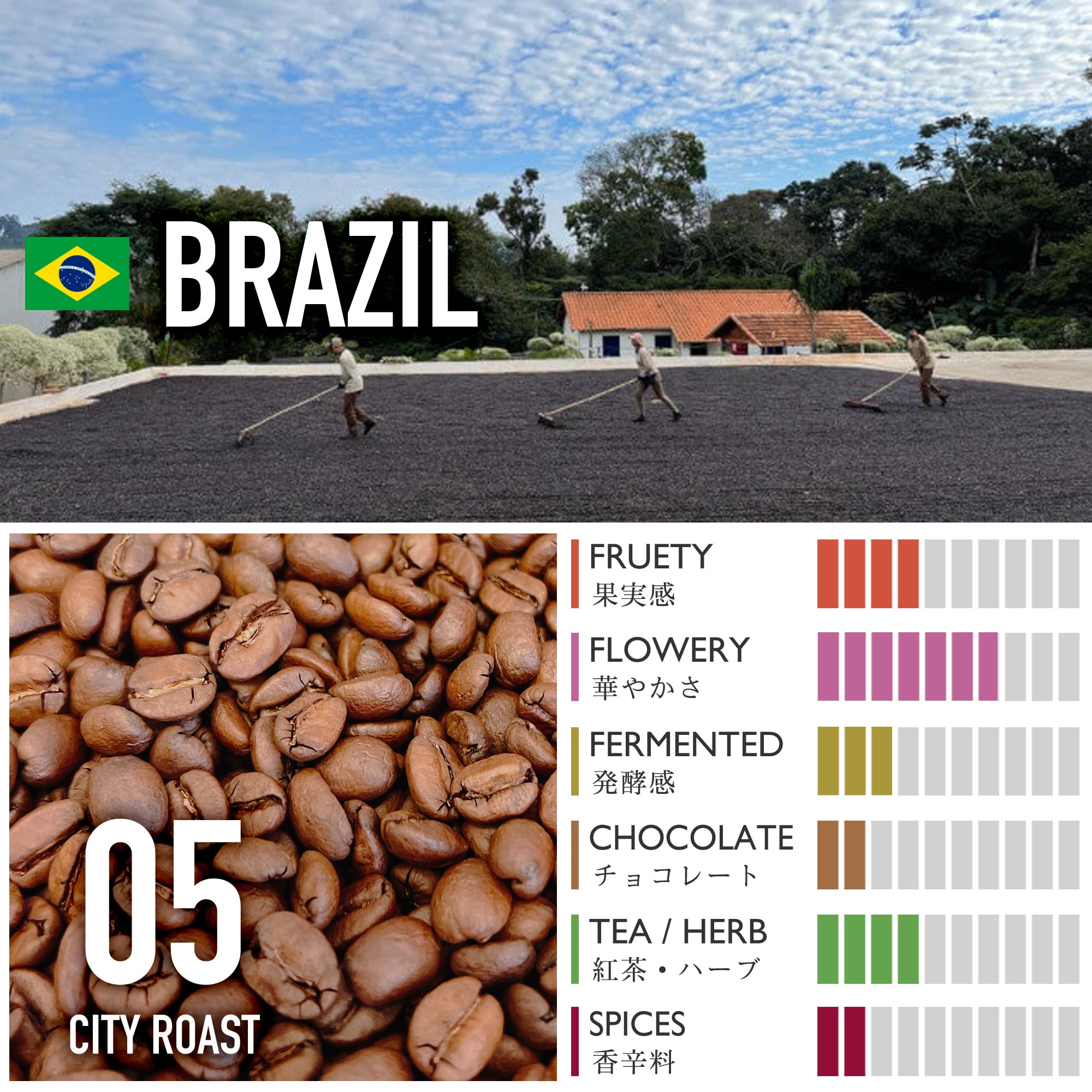 ブラジル/カッシャンブー農園・アララ・ハニー【中深煎り】