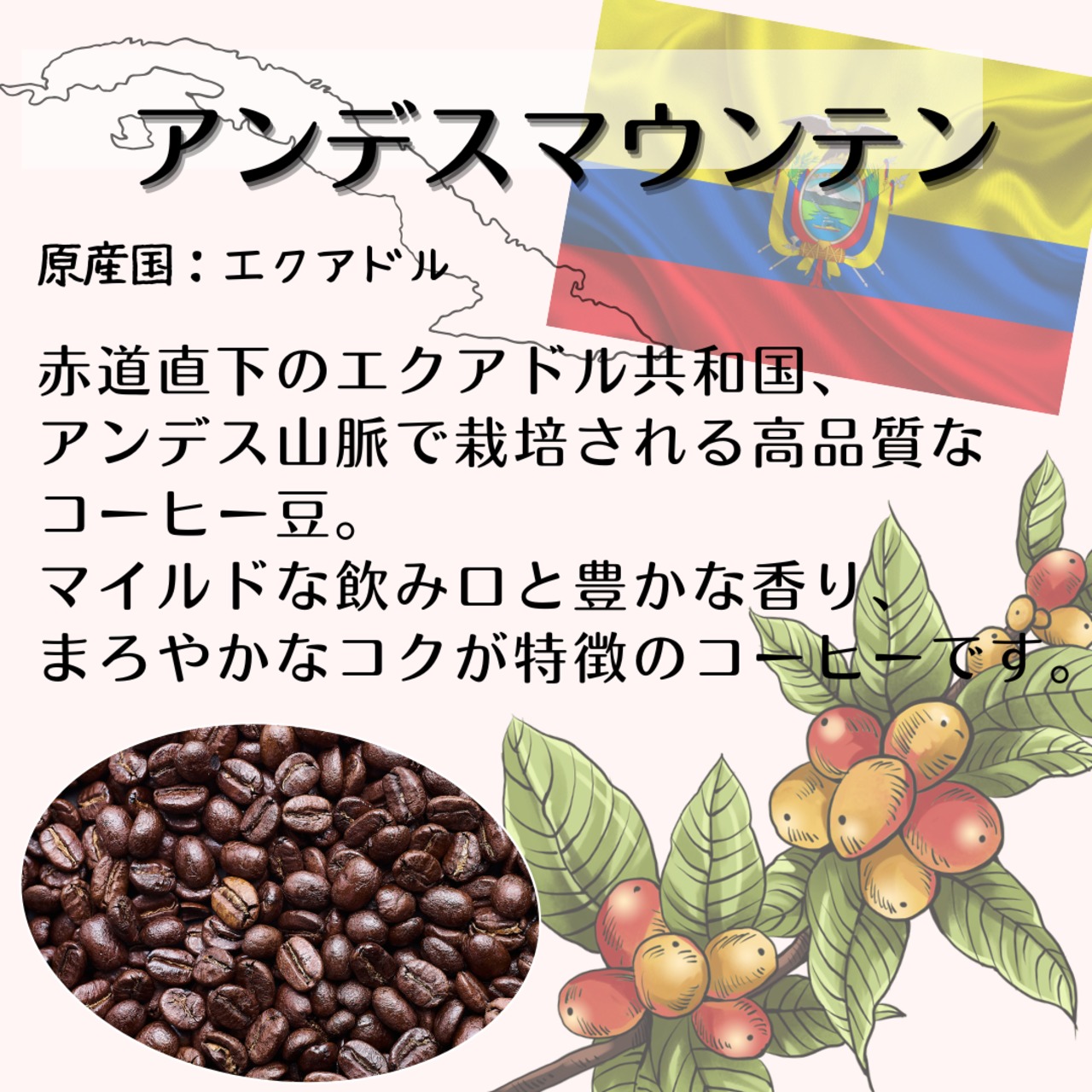 ●アンデスマウンテン (エクアドル)800ｇセット