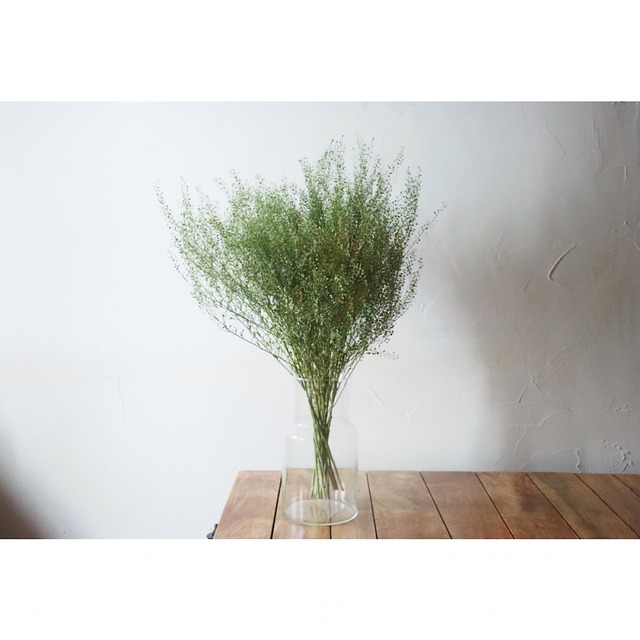 ZA#06 【口が広くて活けやすい】リューズガラス　フラワーベースネック