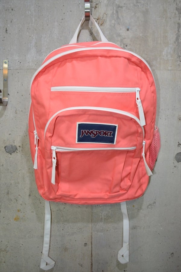 00s 90s archive “ Coleman ” sling bag y2k | PAY ID