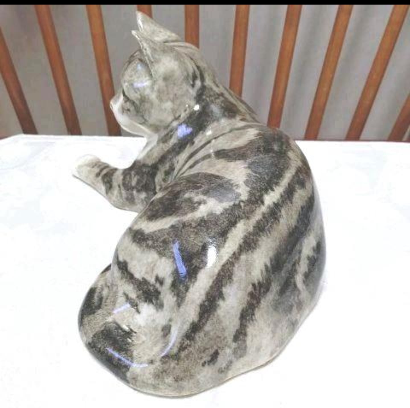 SOLD OUT】❇️美人猫！サイズ「4」ウィンスタンレイキャット