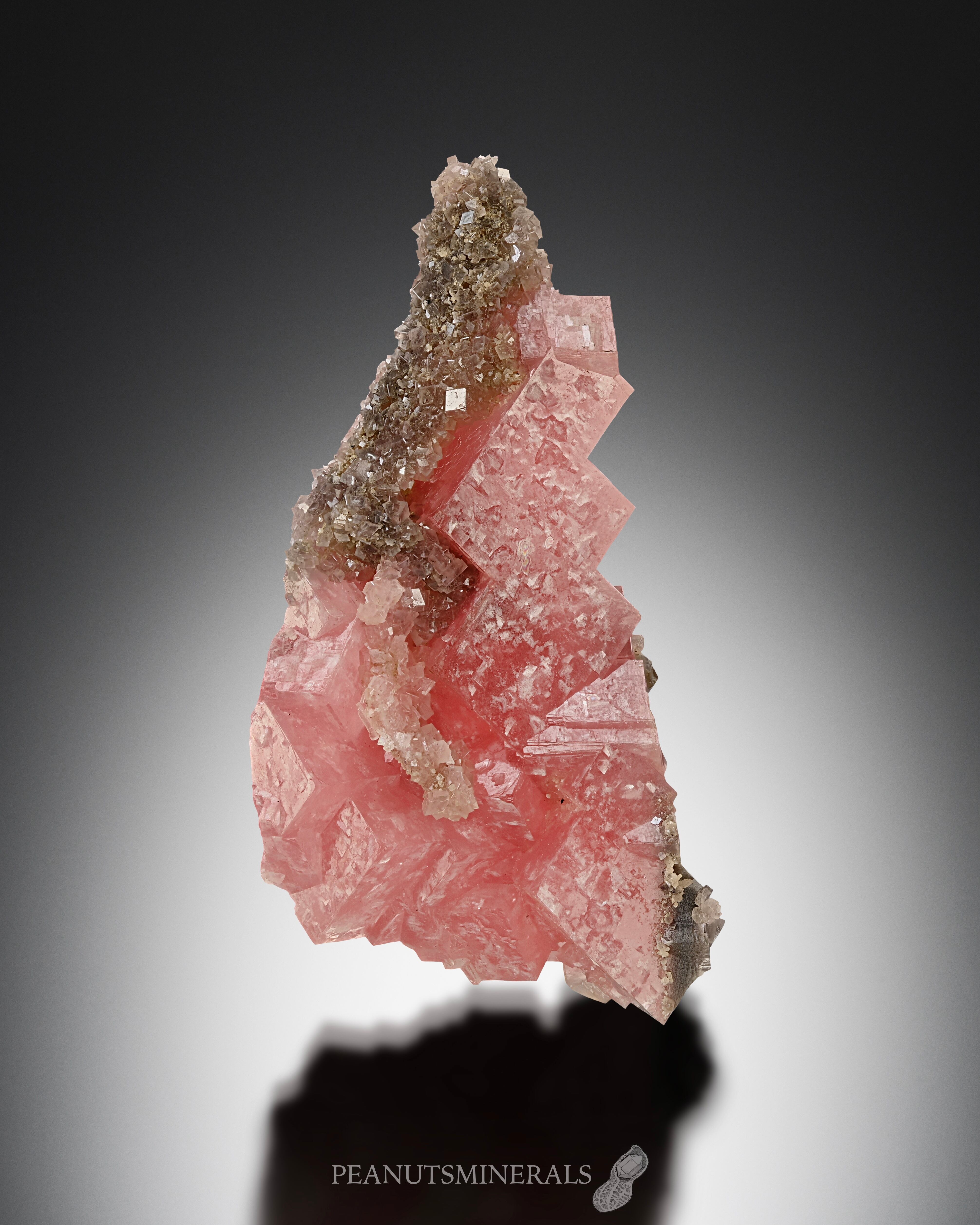 ロードクロサイト【Rhodochrosite】南アフリカ産 | PEANUTS MINERALS